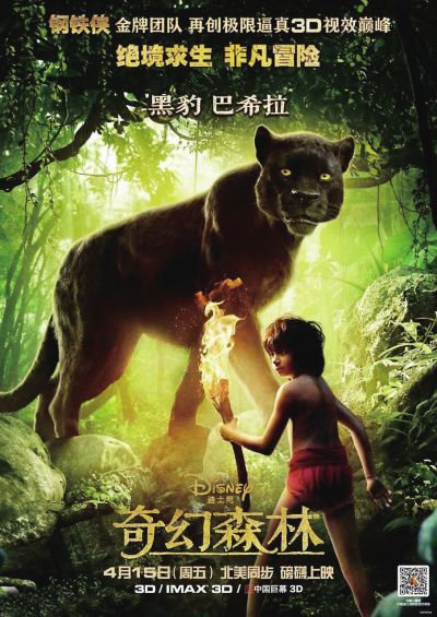 一比一仿墨西哥护照模板